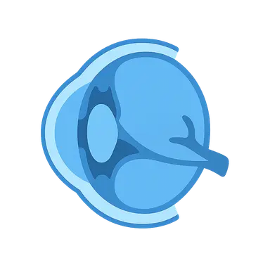 Secondary Angle-Closure Glaucomas