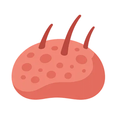 Cellular components of inflammation