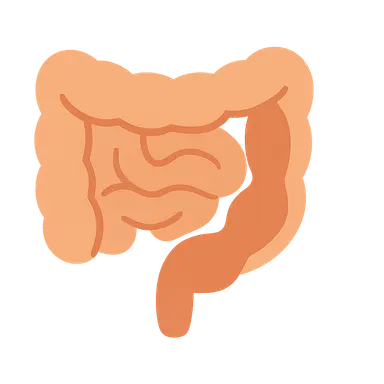 Neonatal Intestinal Obstruction