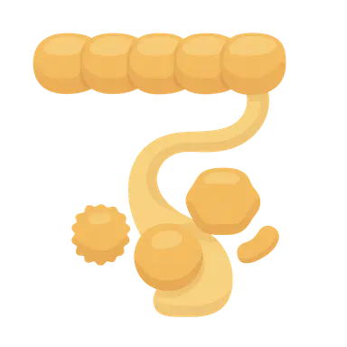 Post-translational modifications