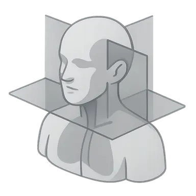 Anatomical planes and reference lines