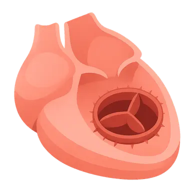 Valve replacement and repair procedures
