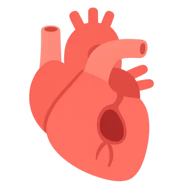 Adult congenital heart disease