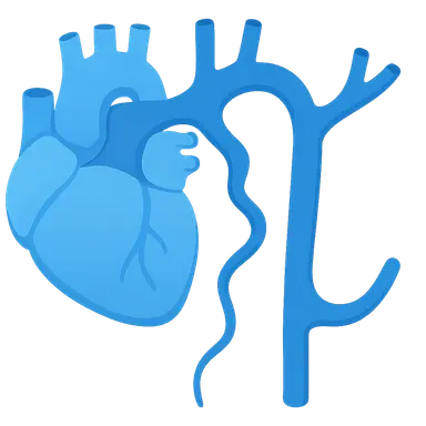 Great Vessels and Azygos System