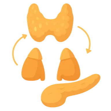 Integration of metabolic regulation