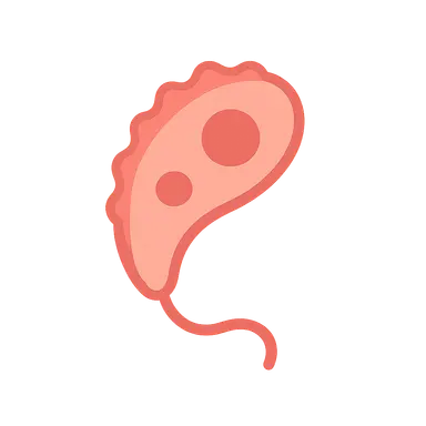 Blood and Tissue Protozoa