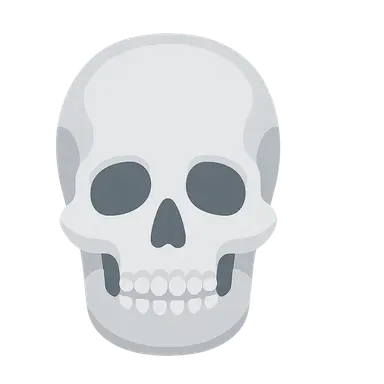 Skull and Facial Bones