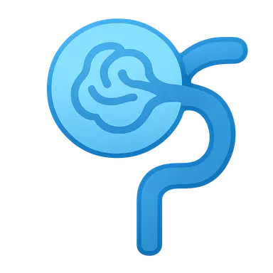 Clinical estimation of GFR