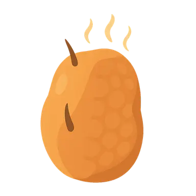 Brown Adipose Tissue and Thermogenesis