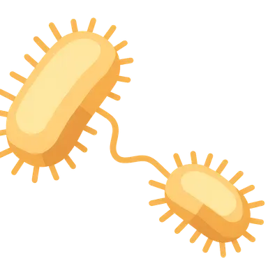 Horizontal gene transfer mechanisms