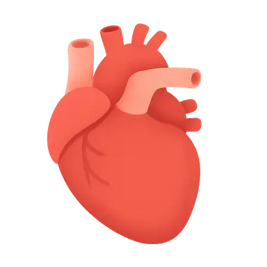 Hypertensive heart disease