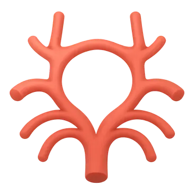 Communicating arteries