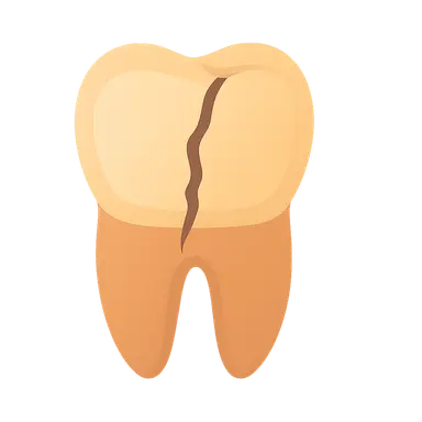 Dental Trauma Analysis