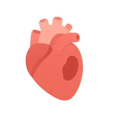 NSTEMI management algorithm