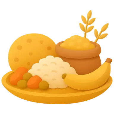 Nutritional Programs in India