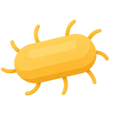 Carbapenem-Resistant Enterobacteriaceae