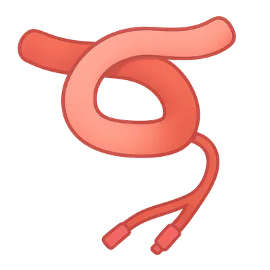 Dialysis access procedures and complications