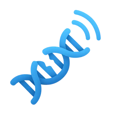 DNA damage response signaling