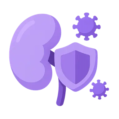 Transplantation Immunopathology