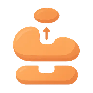 Enzyme Kinetics and Michaelis-Menten Equation