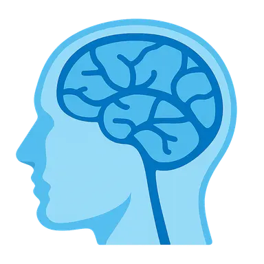 Dural Venous Sinuses