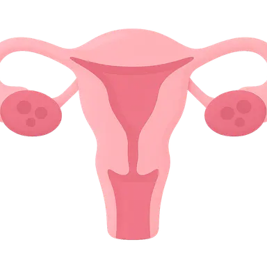 Female reproductive cycle phases