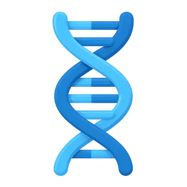 DNA structure and organization