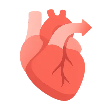 Ventricular ejection physiology