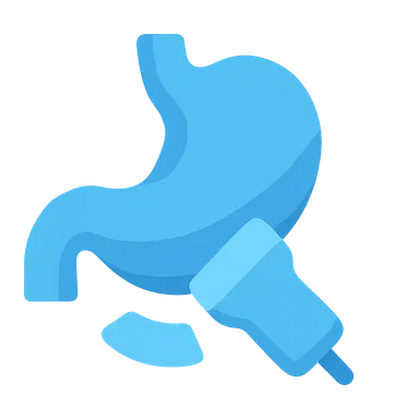 Gastric Ultrasound