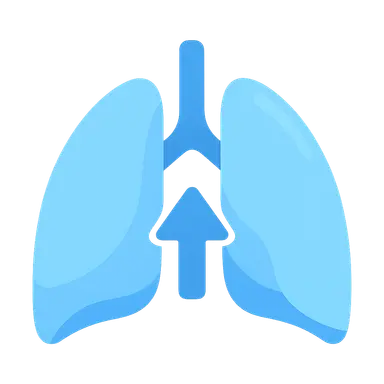Respiratory adaptations during exercise