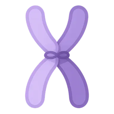 Meiosis and genetic recombination