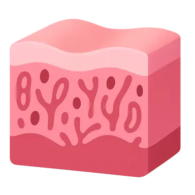 Female reproductive histology