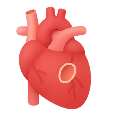Congenital heart defects