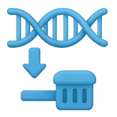 Regulation of Gene Expression