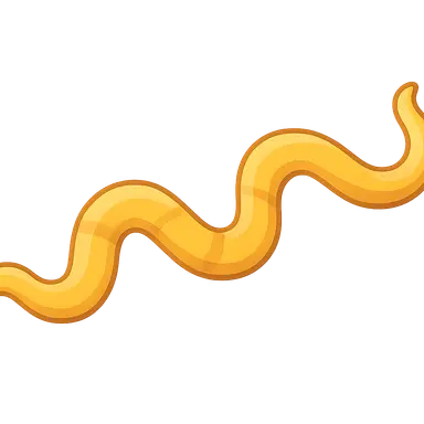 Leptospira species