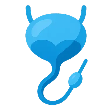 Urinary retention management