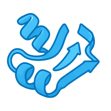 Protein Structure and Function