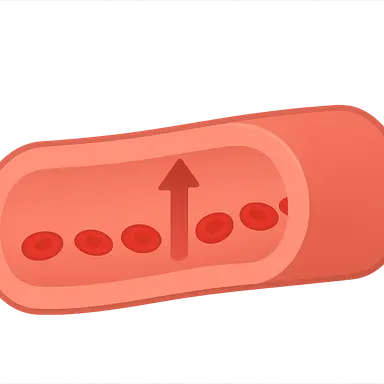 Principles of blood flow (Poiseuille's law)