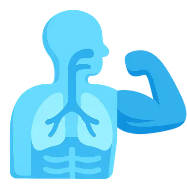 Anatomical Aspects of Exercise Physiology