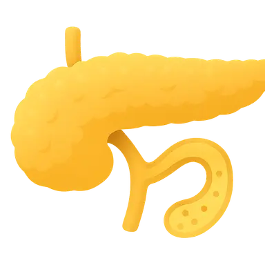 Pancreatic exocrine function