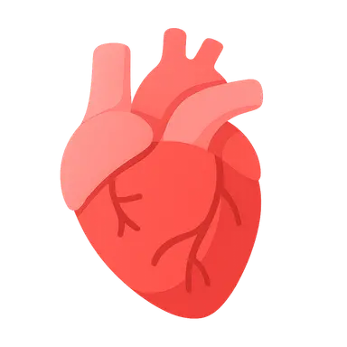 Cardiovascular Evaluation