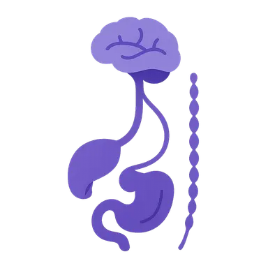 Visceral afferent pathways