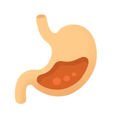 Digestion and Absorption