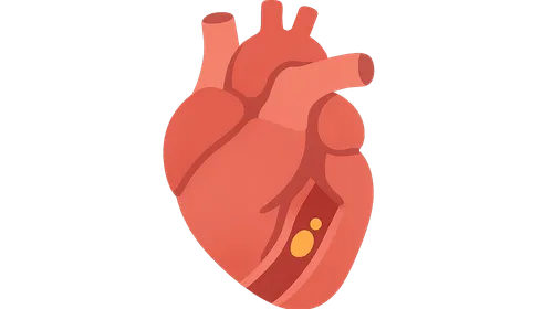 Acute coronary syndromes