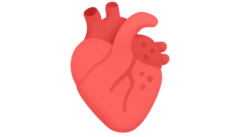 Rheumatology & Haematology