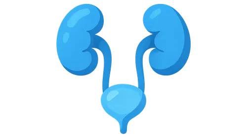 Renal & Urology