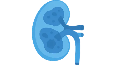 Chronic kidney disease