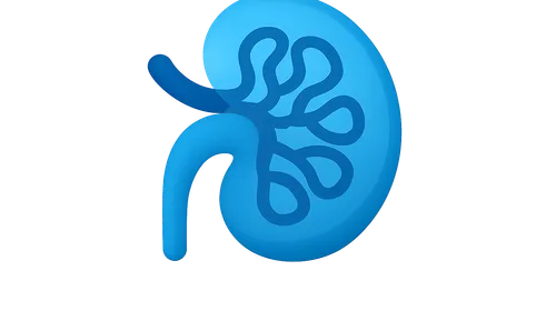Nephrology (CKD, glomerular diseases)