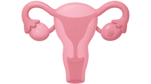 Tubal and Peritoneal Factors