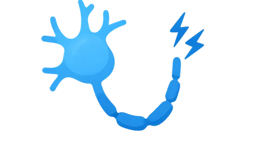 Bioelectric Phenomena